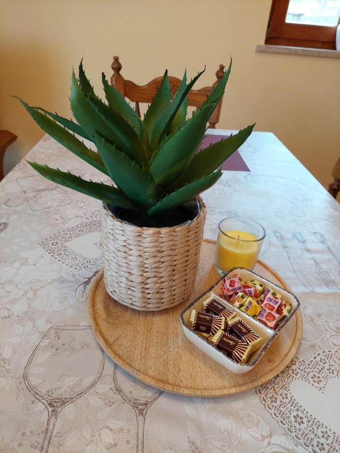 Holiday Home Cancarevic رافنا غورا المظهر الخارجي الصورة